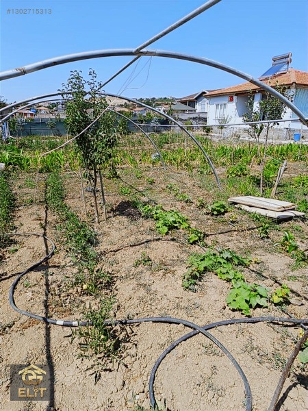 Acil Acil Tatlar Sakızagacın Da 1000 Metre Arsa 100 Metre Evi — fotoğraf 7