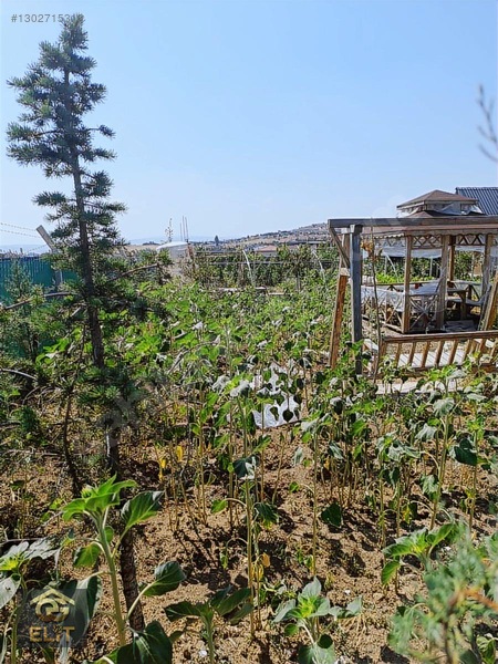 Acil Acil Tatlar Sakızagacın Da 1000 Metre Arsa 100 Metre Evi — fotoğraf 21
