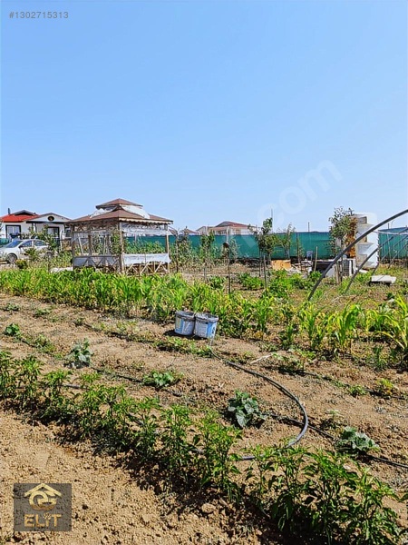 Acil Acil Tatlar Sakızagacın Da 1000 Metre Arsa 100 Metre Evi — fotoğraf 23