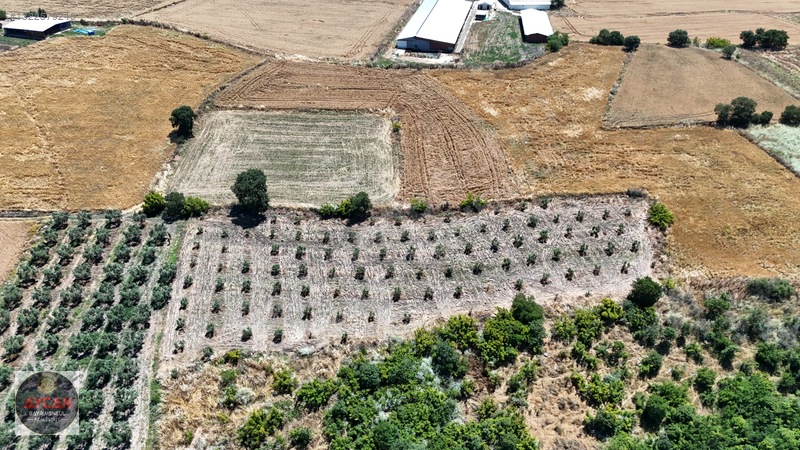 Aycan Gayrimenkulden Gönen Gebeçınar'da Satılık 4384 Mt Tarla — fotoğraf 2