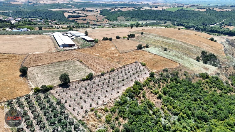 Aycan Gayrimenkulden Gönen Gebeçınar'da Satılık 4384 Mt Tarla — fotoğraf 4