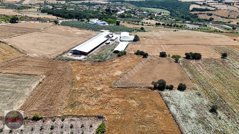 Aycan Gayrimenkulden Gönen Gebeçınar'da Satılık 4384 Mt Tarla — fotoğraf 9