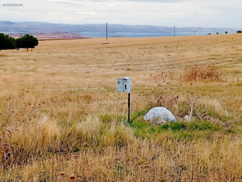 43 Dönüm Elektriği,kuyusu Bulunan Satılık Tarla — fotoğraf 4