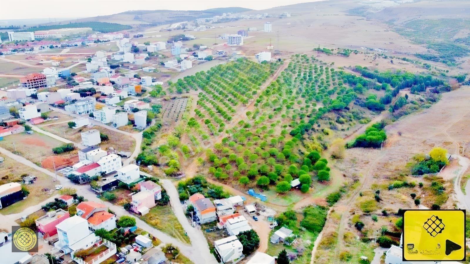 Smart Go'Dan Ayyıldız'Da Satılık 178 M² Köşe Arsa — fotoğraf 31