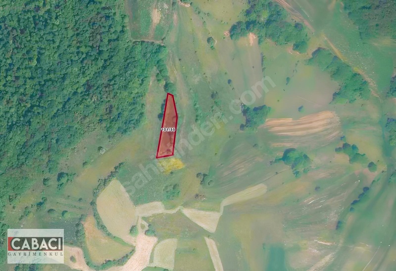 Yatırımlık Tarla Körfez Alihocalar 960m2 — fotoğraf 2