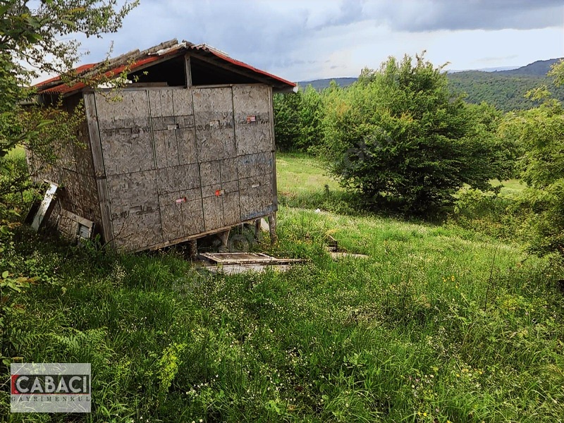 Yatırımlık Tarla Körfez Alihocalar 960m2 — fotoğraf 3