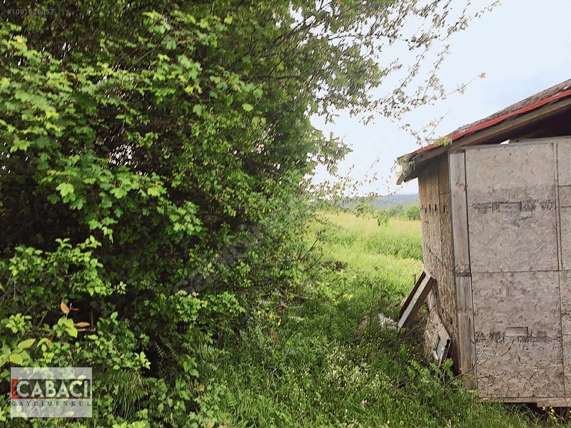 Yatırımlık Tarla Körfez Alihocalar 960m2 — fotoğraf 4
