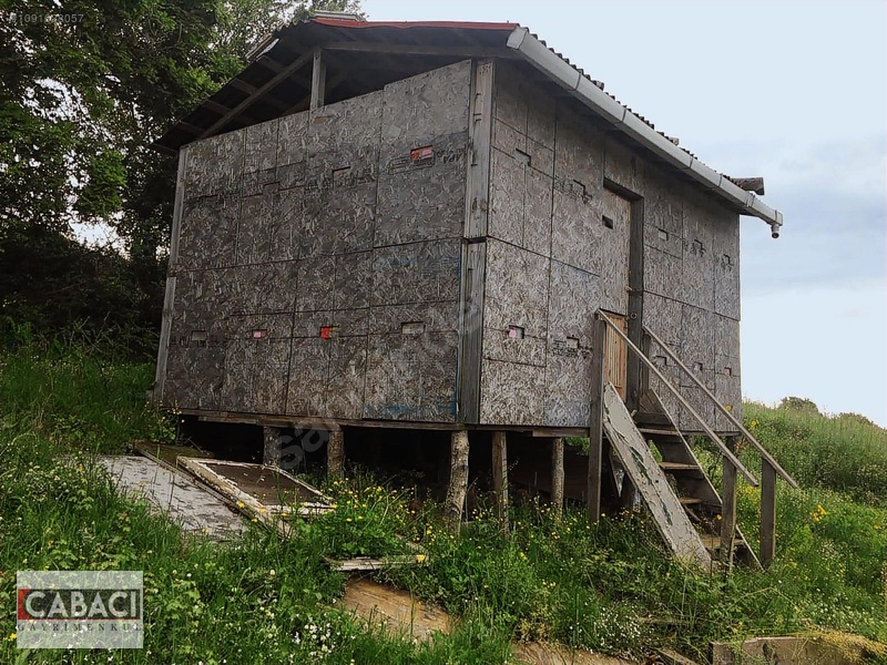 Yatırımlık Tarla Körfez Alihocalar 960m2 — fotoğraf 5