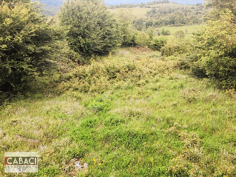 Yatırımlık Tarla Körfez Alihocalar 960m2 — fotoğraf 7