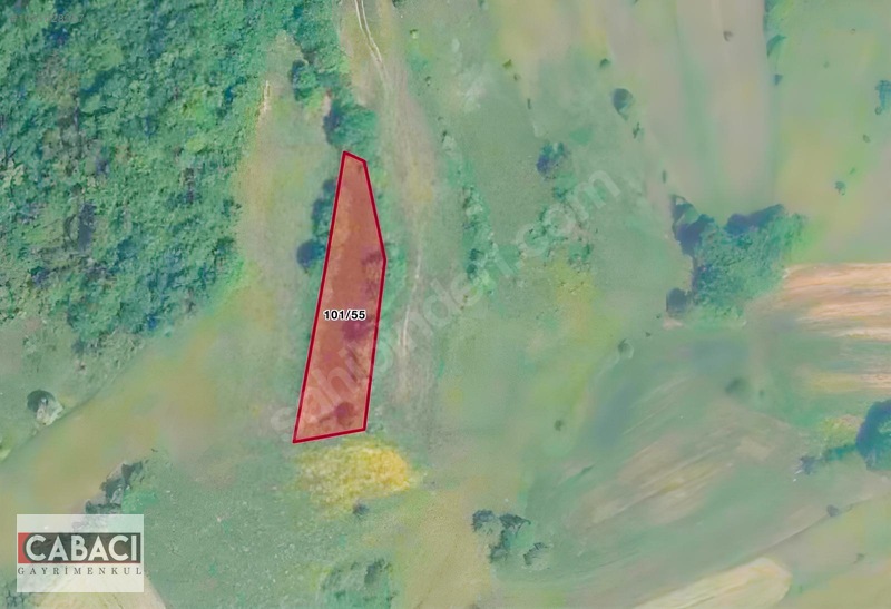 Yatırımlık Tarla Körfez Alihocalar 960m2 — fotoğraf 8