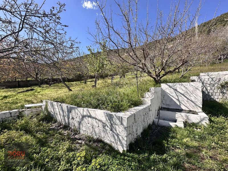 Doru'dan Ulutaş Kerhan'da Satılık Bağ Yeri Ve Evi — fotoğraf 7