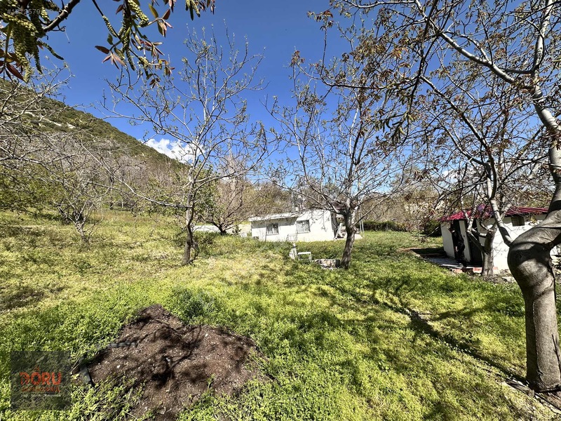 Doru'dan Ulutaş Kerhan'da Satılık Bağ Yeri Ve Evi — fotoğraf 11