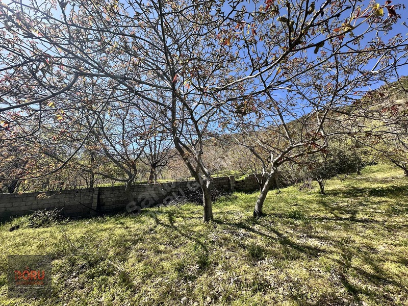 Doru'dan Ulutaş Kerhan'da Satılık Bağ Yeri Ve Evi — fotoğraf 12
