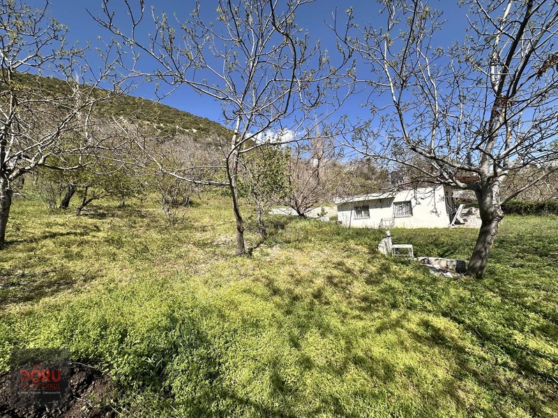 Doru'dan Ulutaş Kerhan'da Satılık Bağ Yeri Ve Evi — fotoğraf 13