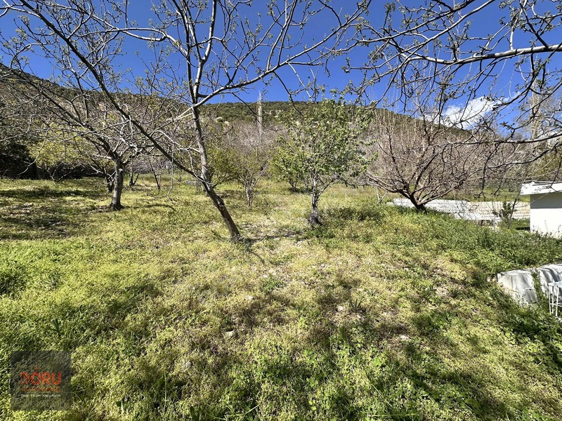 Doru'dan Ulutaş Kerhan'da Satılık Bağ Yeri Ve Evi — fotoğraf 14