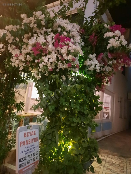 Beyaz Apart Pansiyon — fotoğraf 8
