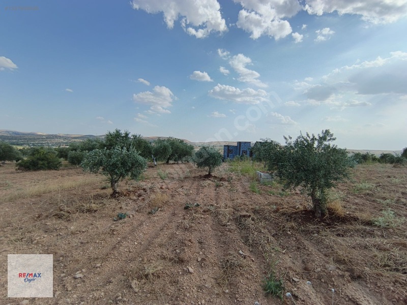 Remax Özgür'den Yukarıarıl Da Havuzlu Bağ Evi & Bahçe — fotoğraf 5
