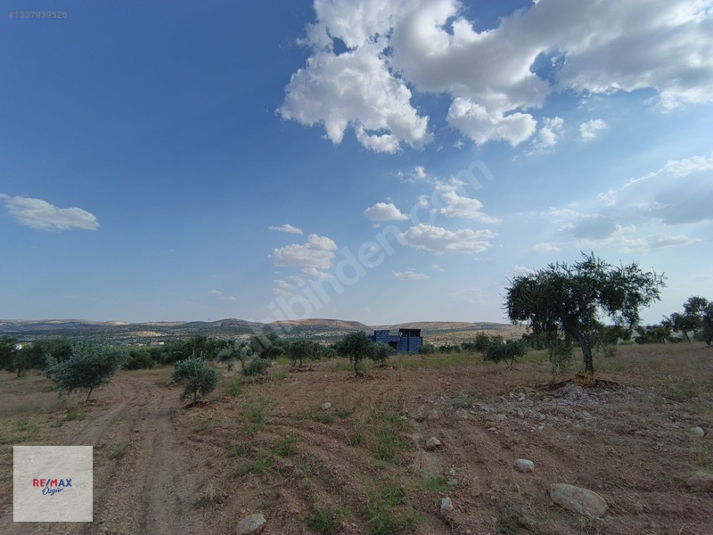 Remax Özgür'den Yukarıarıl Da Havuzlu Bağ Evi & Bahçe — fotoğraf 7