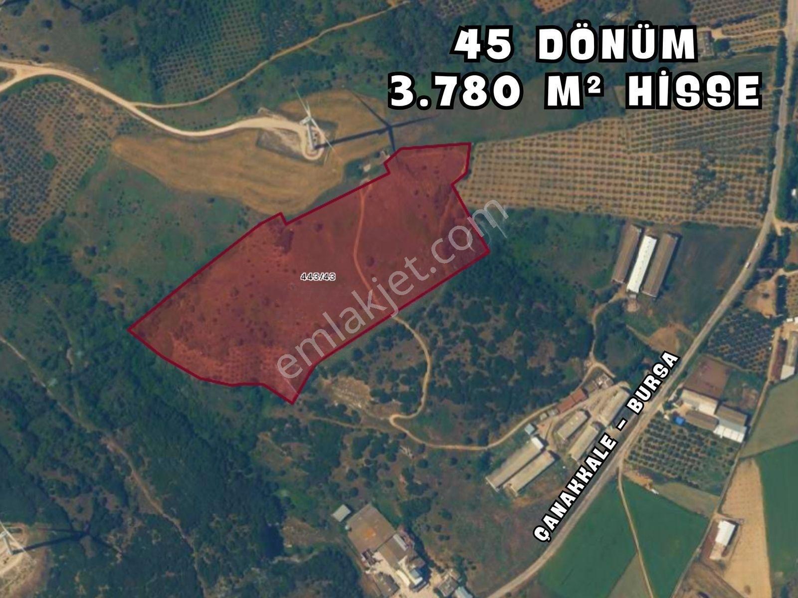|edincik| İmara 700 Metre Mesafede Son Kalan Parsellerden! — fotoğraf 3