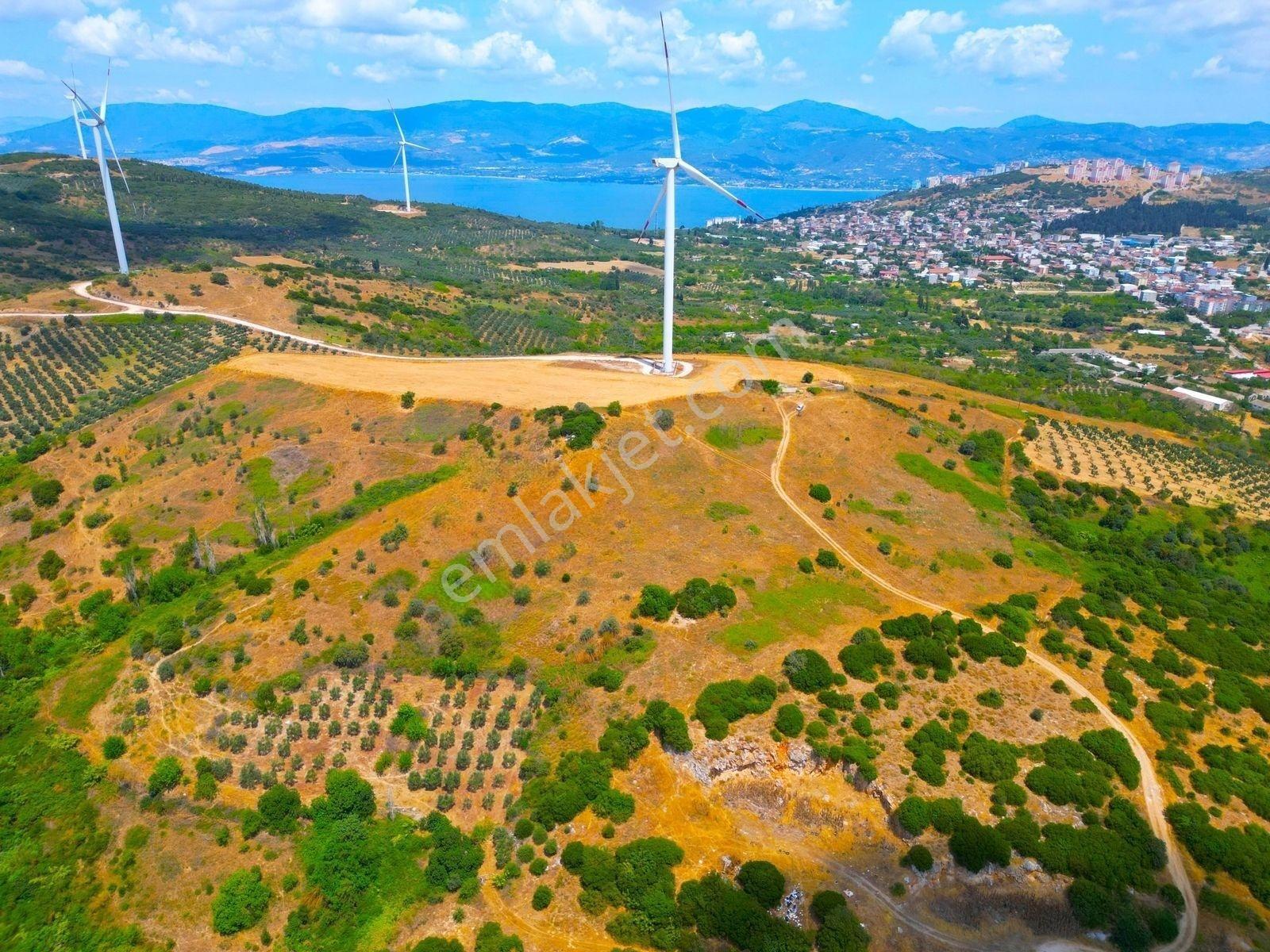 |edincik| İmara 700 Metre Mesafede Son Kalan Parsellerden! — fotoğraf 13