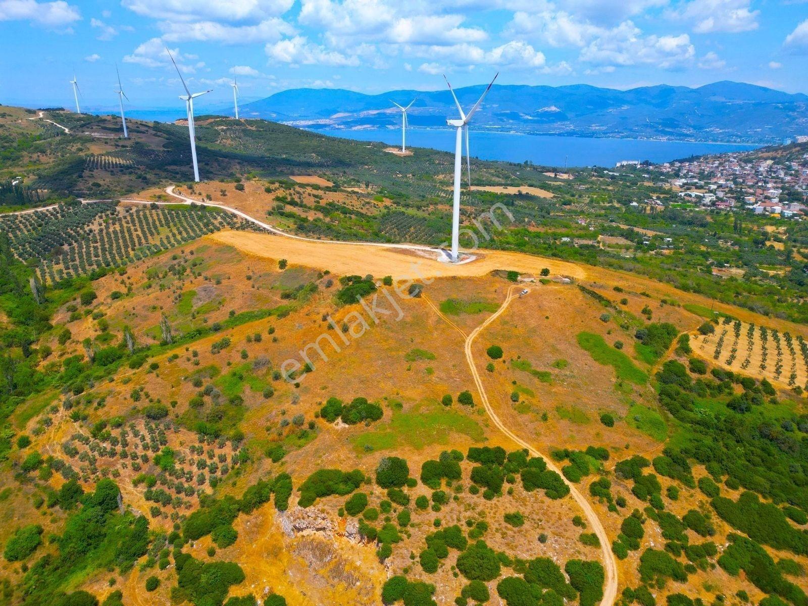 |edincik| İmara 700 Metre Mesafede Son Kalan Parsellerden! — fotoğraf 14