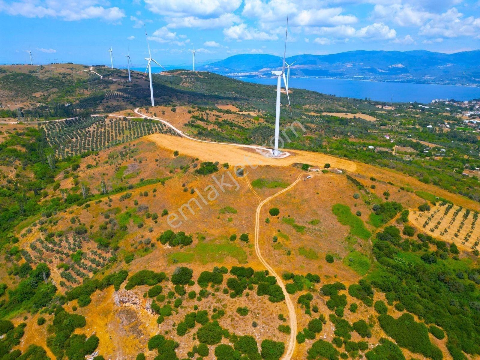 |edincik| İmara 700 Metre Mesafede Son Kalan Parsellerden! — fotoğraf 15