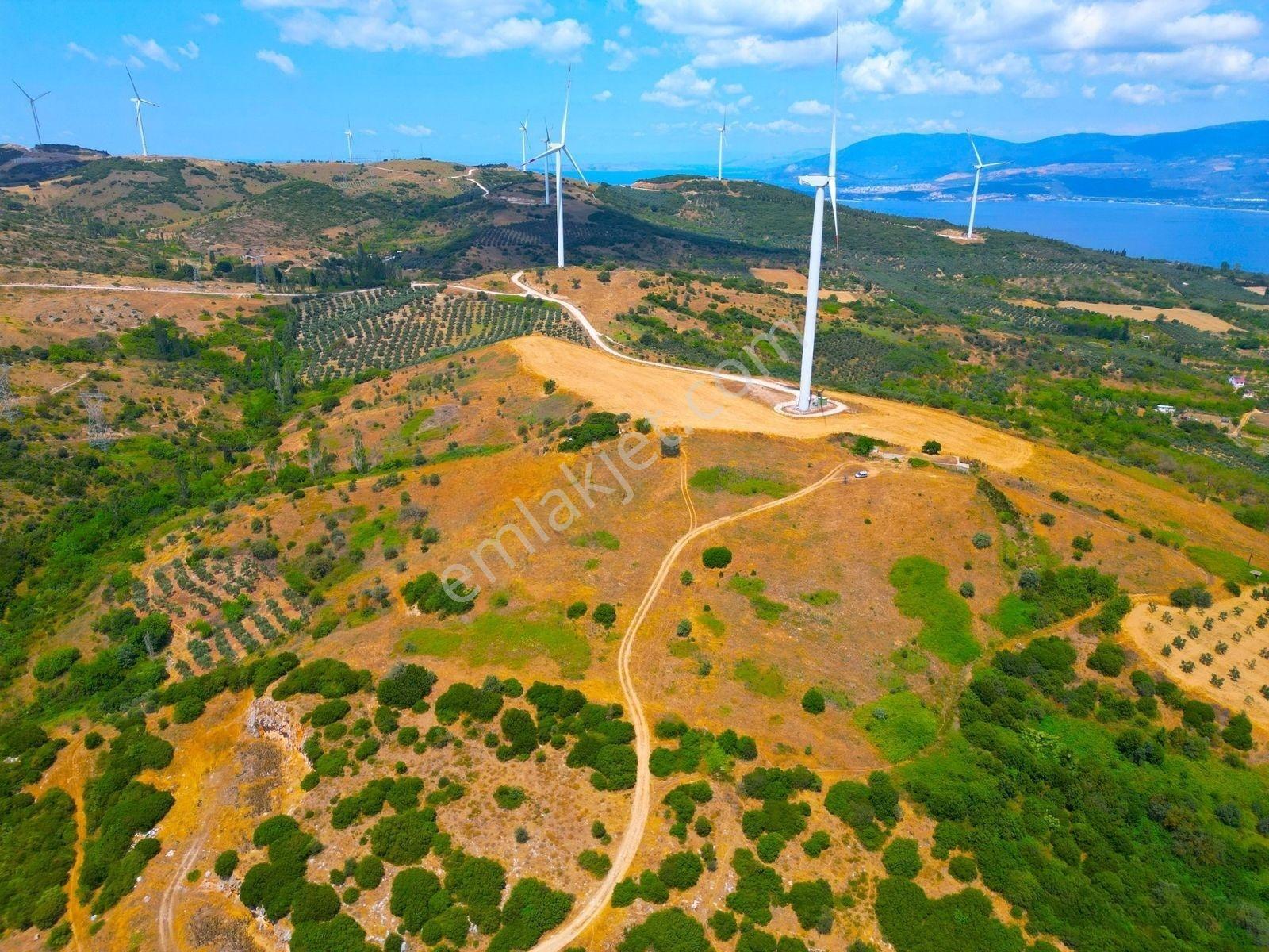 |edincik| İmara 700 Metre Mesafede Son Kalan Parsellerden! — fotoğraf 16