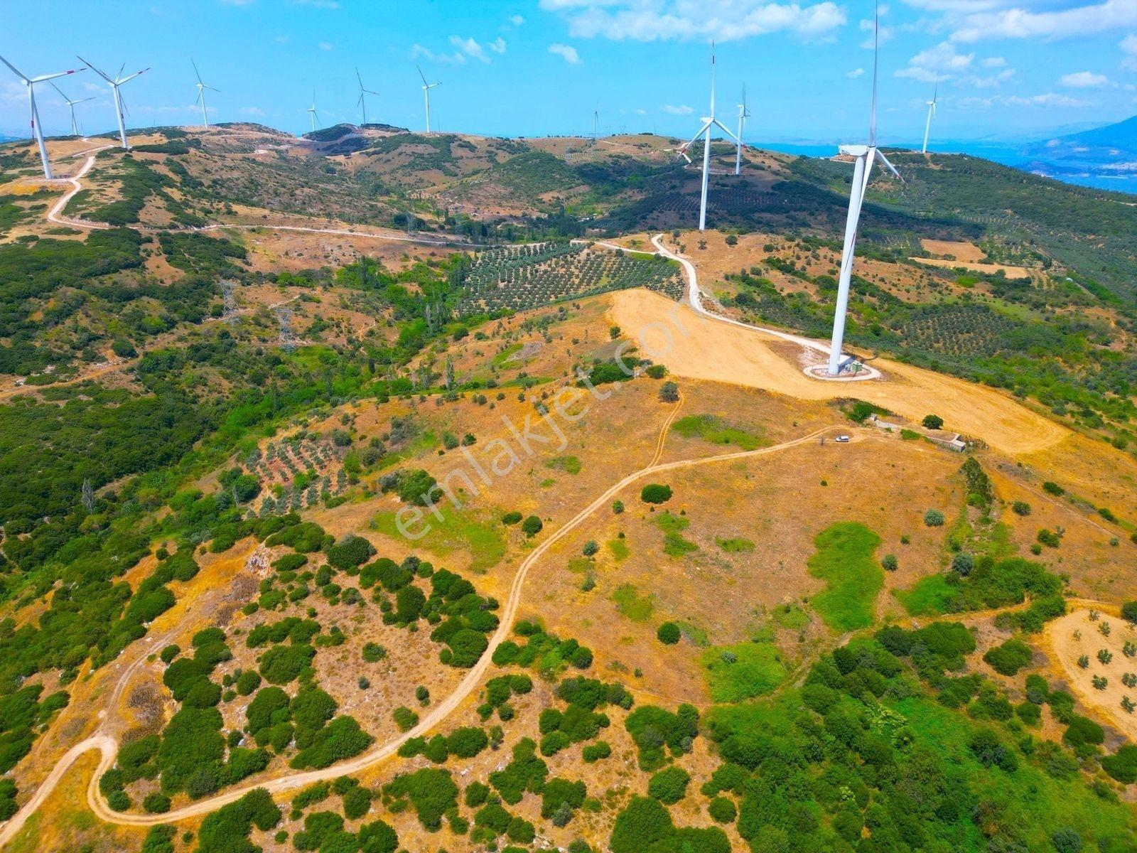 |edincik| İmara 700 Metre Mesafede Son Kalan Parsellerden! — fotoğraf 17