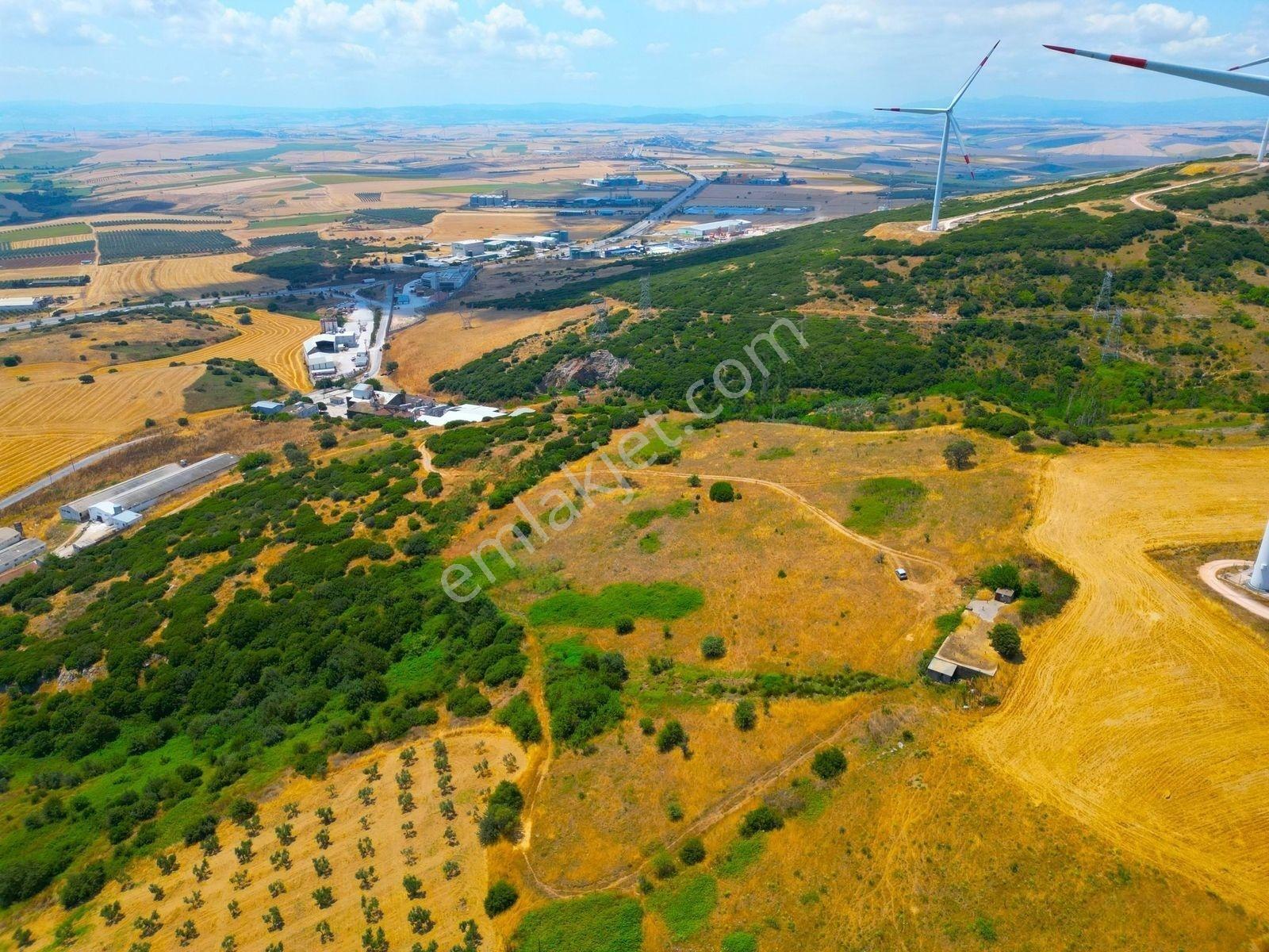 |edincik| İmara 700 Metre Mesafede Son Kalan Parsellerden! — fotoğraf 21