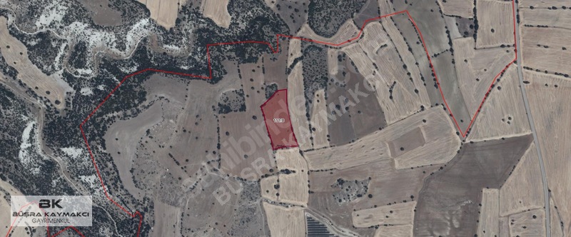 Aktaş Köyü'Nde Satılık 12.663 M2 Tarla