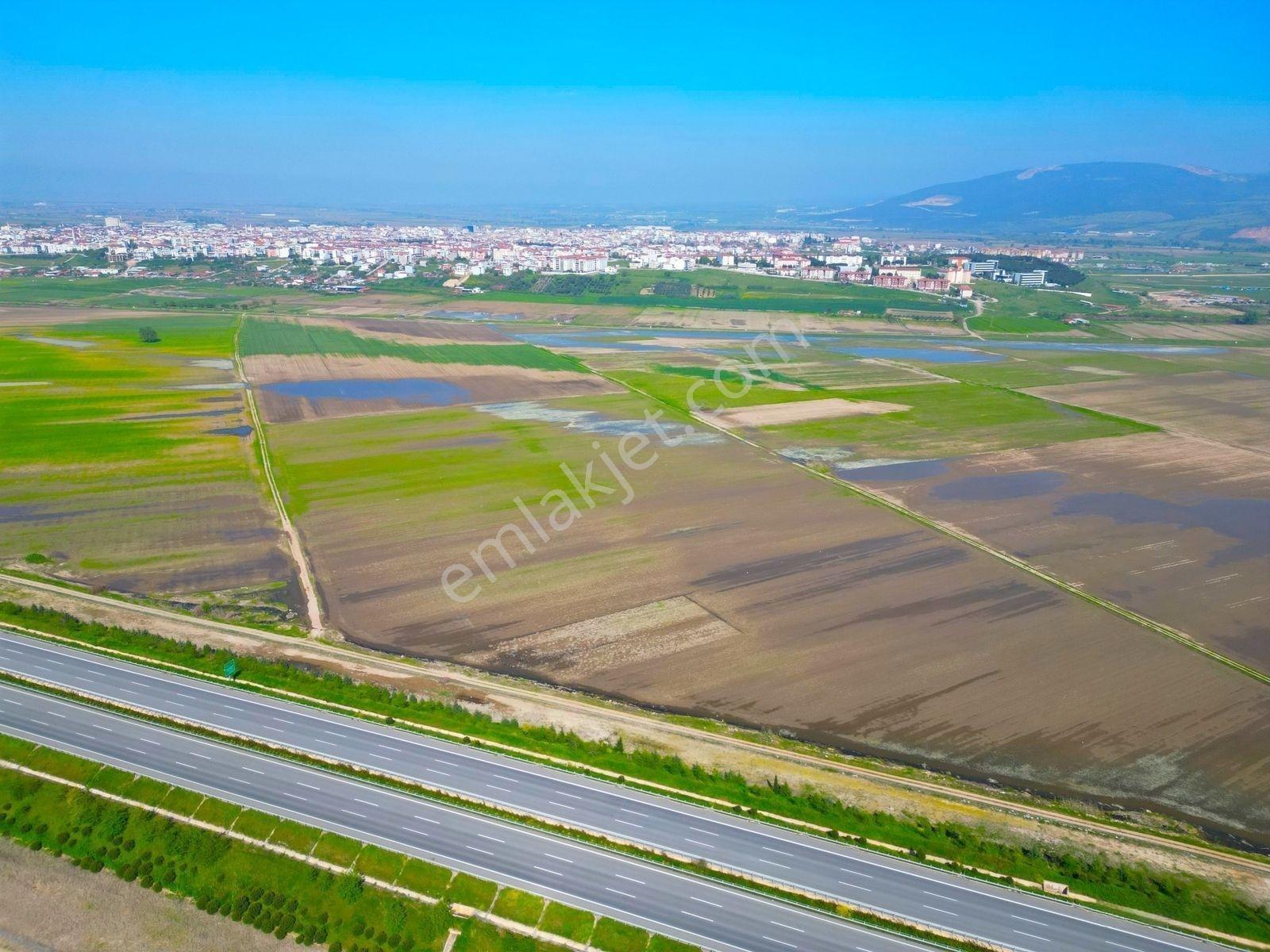 |Karacabey| İmar Sınırında Otoyol Dibinde Yatırımlık Parsel! — fotoğraf 16