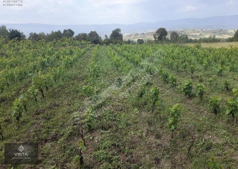 Tokat Erbaa Karayaka'Da Satılık 1371 M² Bağ Arazi