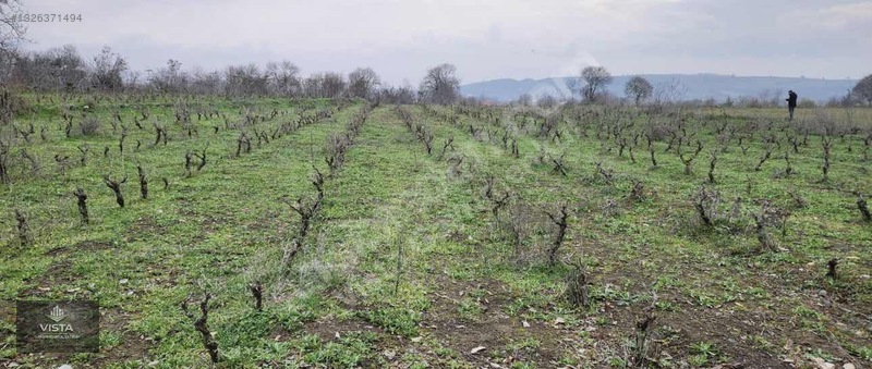 Tokat Erbaa Karayaka'da Satılık 1371 M² Bağ Arazi — fotoğraf 3