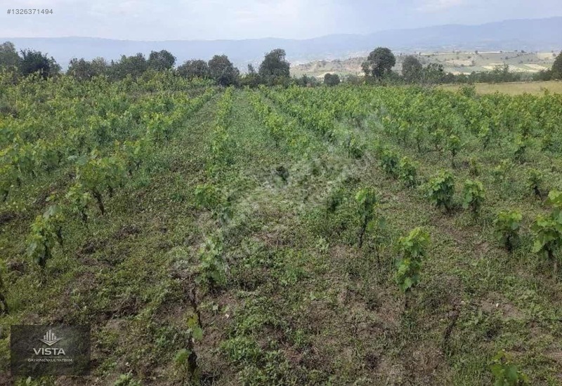 Tokat Erbaa Karayaka'da Satılık 1371 M² Bağ Arazi — fotoğraf 7