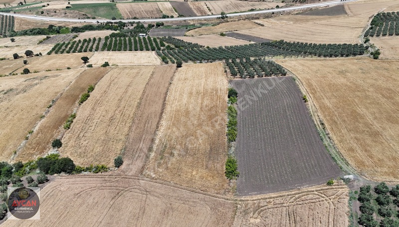 Gönen/Gebeçınar'Da Kadastral Yola Cephe 6.700 M² Tarla