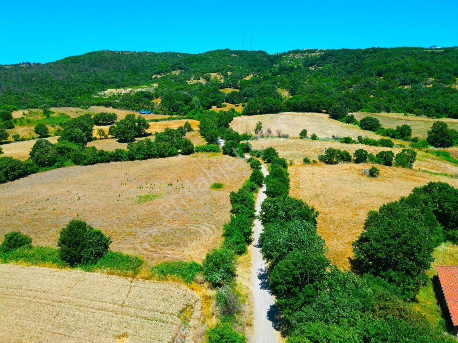 |Gönen| Merkez'E 10 Dakika Resmi Yolu Olan Doğa Manzaralı Arazi! — fotoğraf 7