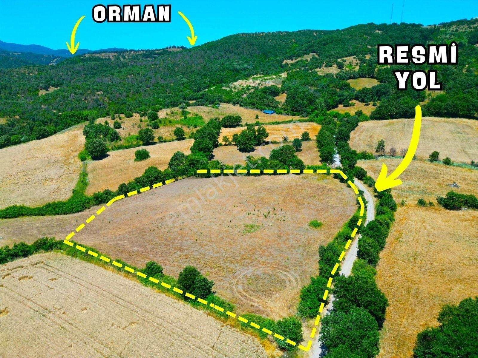 |Gönen| Merkez'E 10 Dakika Resmi Yolu Olan Doğa Manzaralı Arazi! — fotoğraf 8