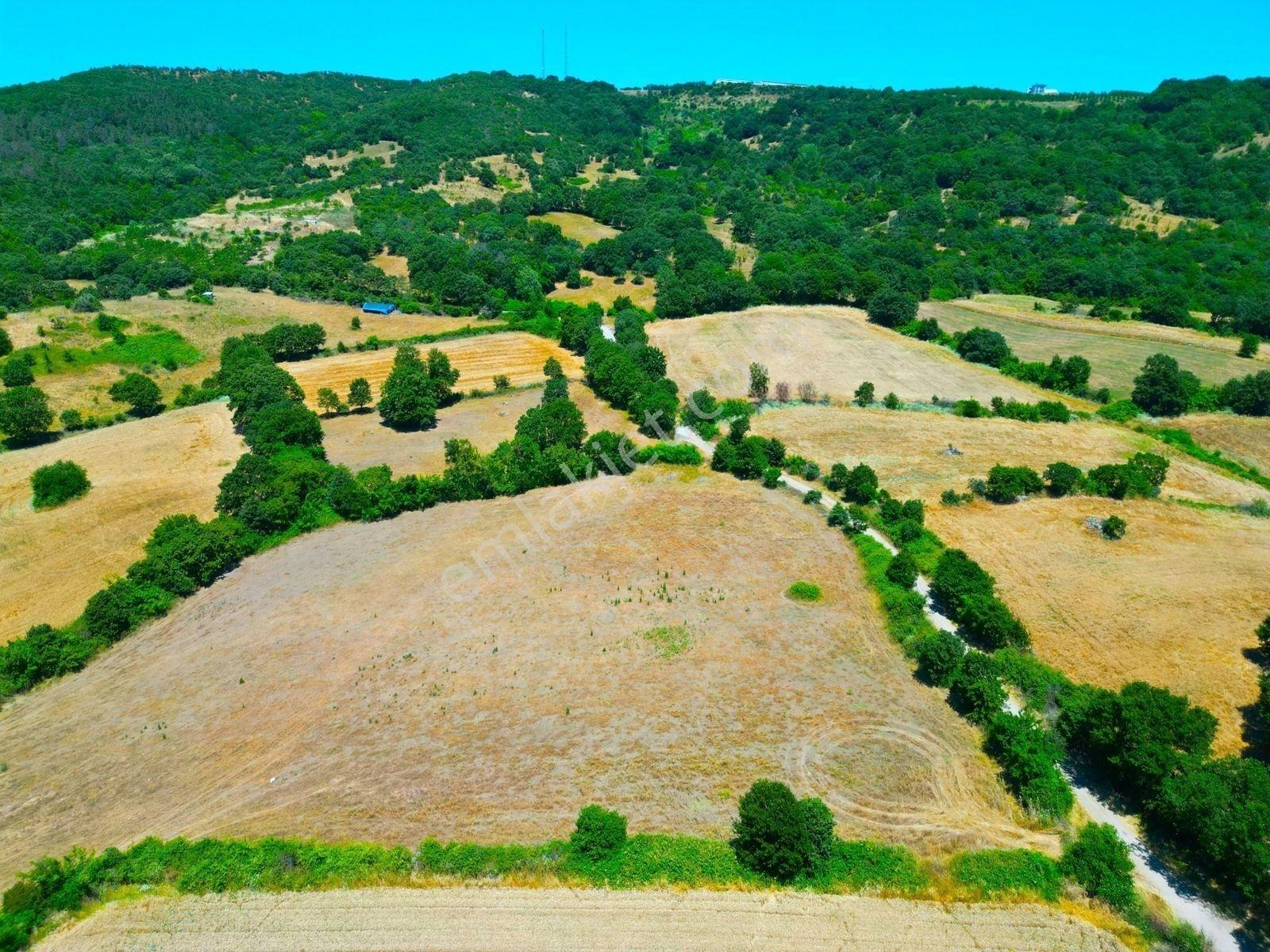 |Gönen| Merkez'E 10 Dakika Resmi Yolu Olan Doğa Manzaralı Arazi! — fotoğraf 9