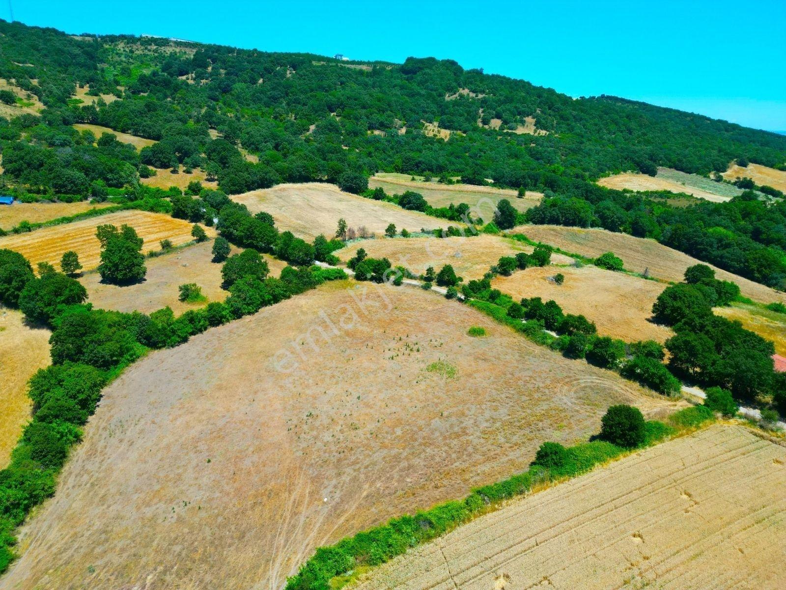 |Gönen| Merkez'E 10 Dakika Resmi Yolu Olan Doğa Manzaralı Arazi! — fotoğraf 10