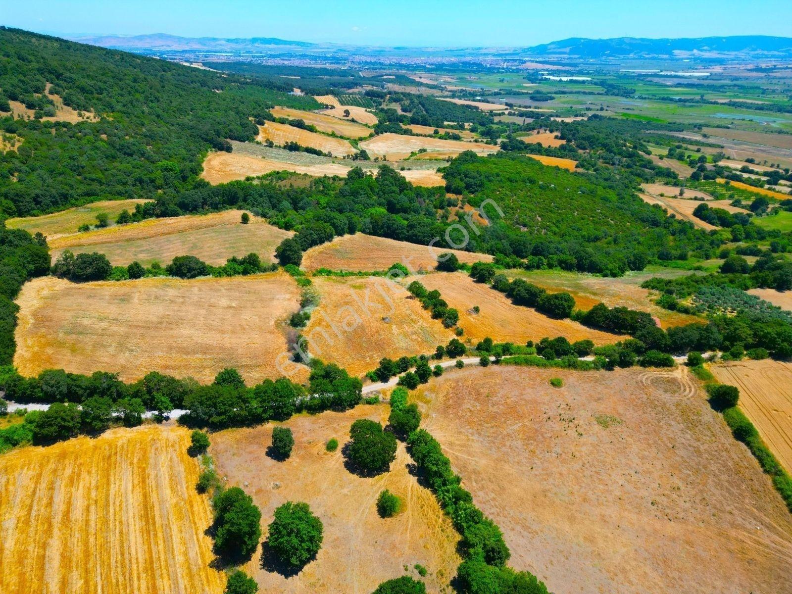 |Gönen| Merkez'E 10 Dakika Resmi Yolu Olan Doğa Manzaralı Arazi! — fotoğraf 12
