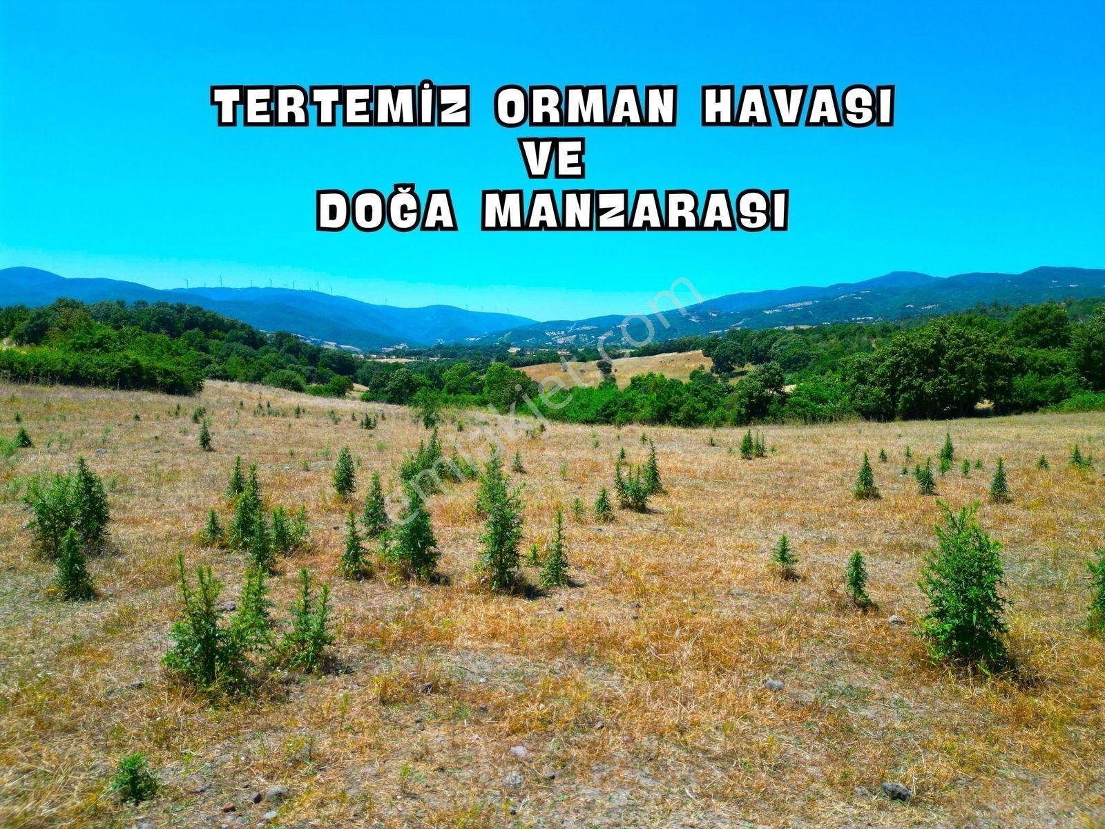 |Gönen| Merkez'E 10 Dakika Resmi Yolu Olan Doğa Manzaralı Arazi! — fotoğraf 18