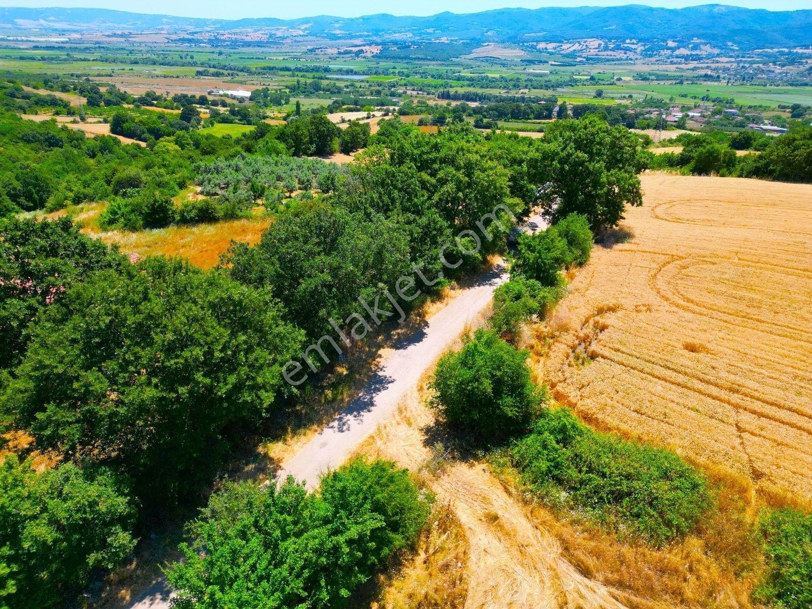 |Gönen| Merkez'E 10 Dakika Resmi Yolu Olan Doğa Manzaralı Arazi! — fotoğraf 19