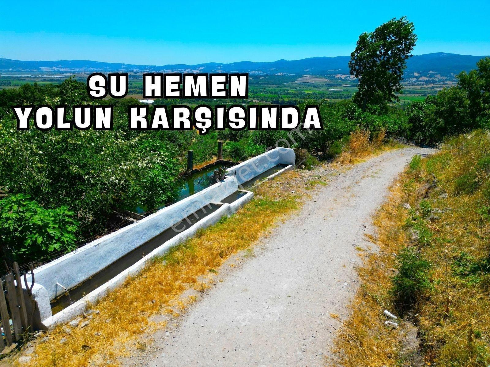 |Gönen| Merkez'E 10 Dakika Resmi Yolu Olan Doğa Manzaralı Arazi! — fotoğraf 20