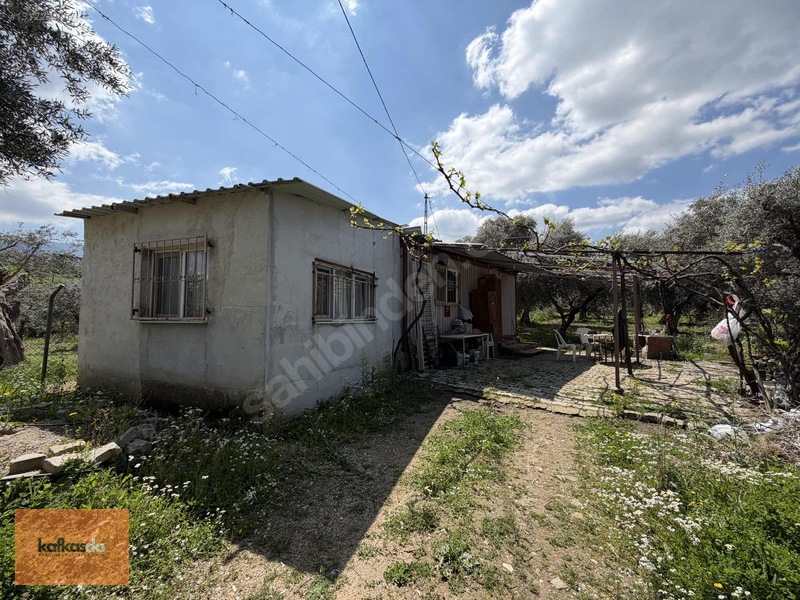 Kemalpaşa Armutlu'da Eşsiz Konumda Satılık Bahçe — fotoğraf 6