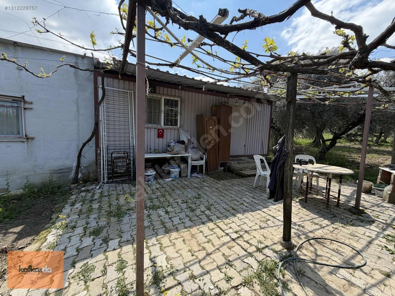 Kemalpaşa Armutlu'da Eşsiz Konumda Satılık Bahçe — fotoğraf 8