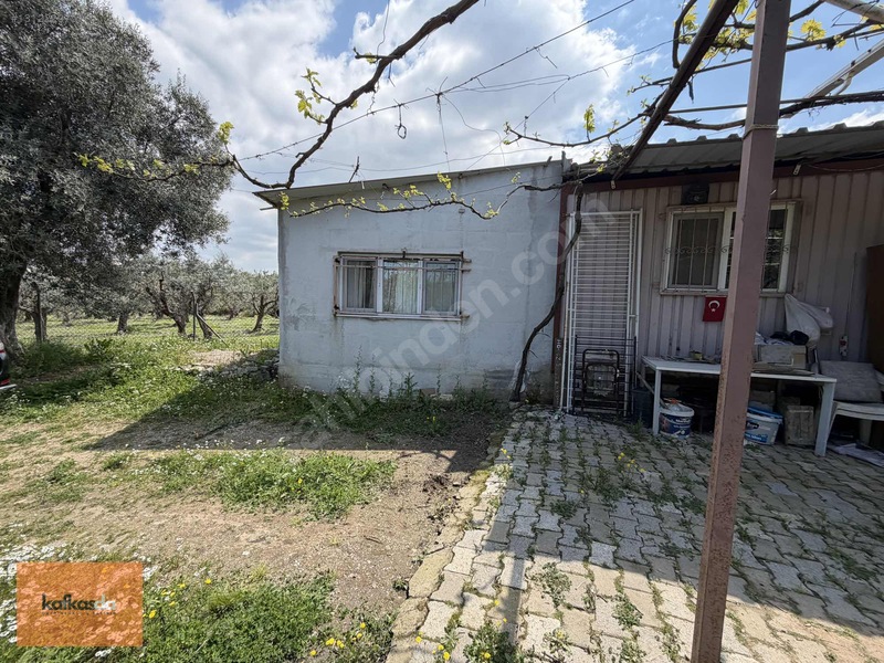 Kemalpaşa Armutlu'da Eşsiz Konumda Satılık Bahçe — fotoğraf 9