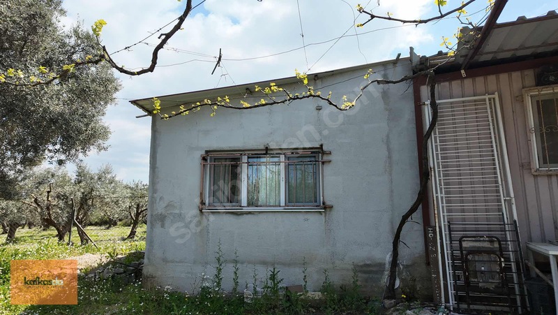 Kemalpaşa Armutlu'da Eşsiz Konumda Satılık Bahçe — fotoğraf 10