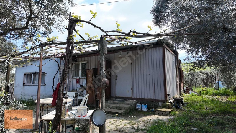 Kemalpaşa Armutlu'da Eşsiz Konumda Satılık Bahçe — fotoğraf 11