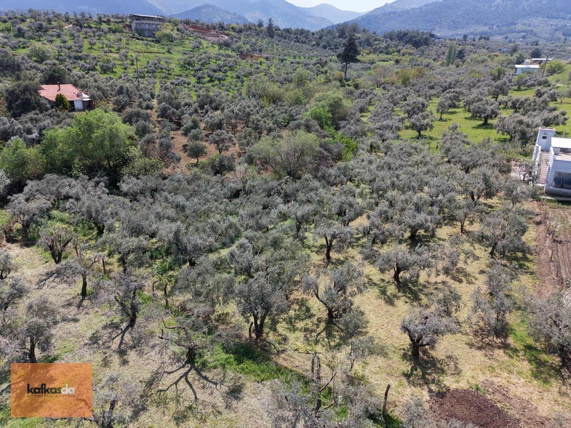 Kemalpaşa Armutlu'da Eşsiz Konumda Satılık Bahçe — fotoğraf 22