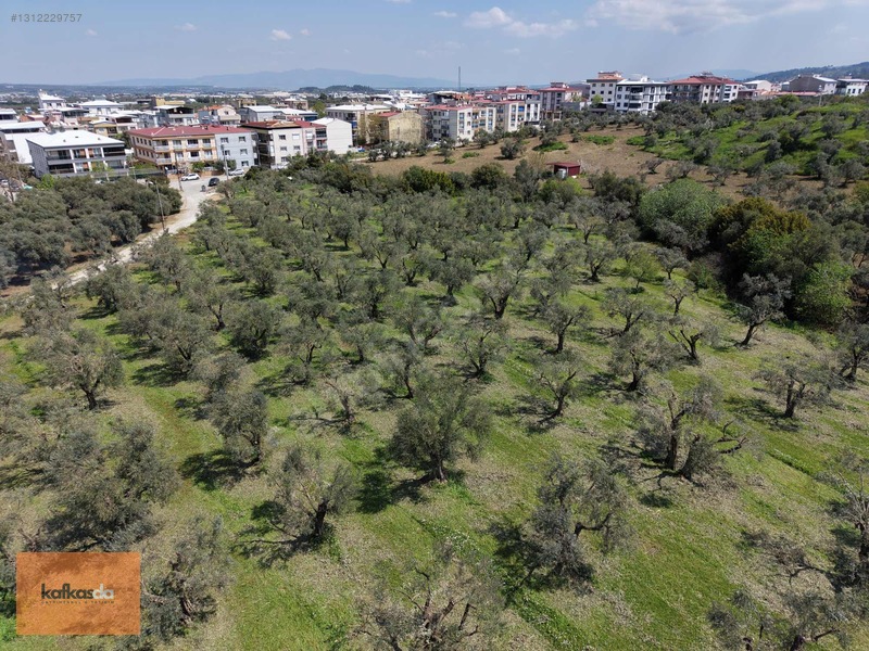 Kemalpaşa Armutlu'da Eşsiz Konumda Satılık Bahçe — fotoğraf 24